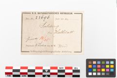 Etiketten zu Pferdezahn (NHMW-PRAE-023696)